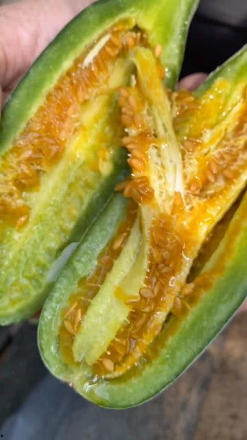 网红小炸串吃瓜视频大全,趣味横生的美食娱乐盛宴  第3张